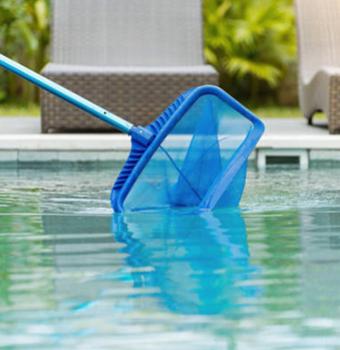 Hand Skimmers and Leaf Nets